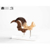Toynami ECC Elite Creature Collectibles - Velociraptor Fußkralle und Fossilkralle Set - - Jurassic Park