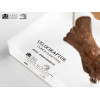 Toynami ECC Elite Creature Collectibles - Velociraptor Fußkralle und Fossilkralle Set - - Jurassic Park