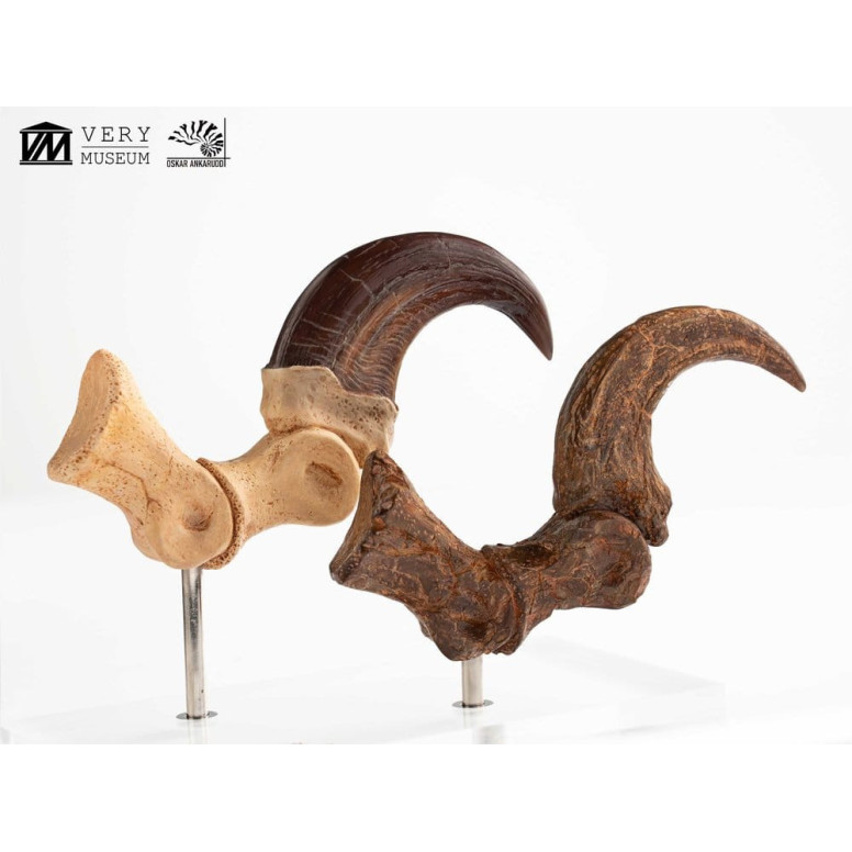Toynami ECC Elite Creature Collectibles - Velociraptor Fußkralle und Fossilkralle Set - - Jurassic Park