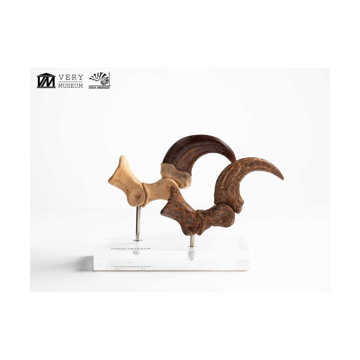 Toynami ECC Elite Creature Collectibles - Velociraptor Fußkralle und Fossilkralle Set - - Jurassic Park