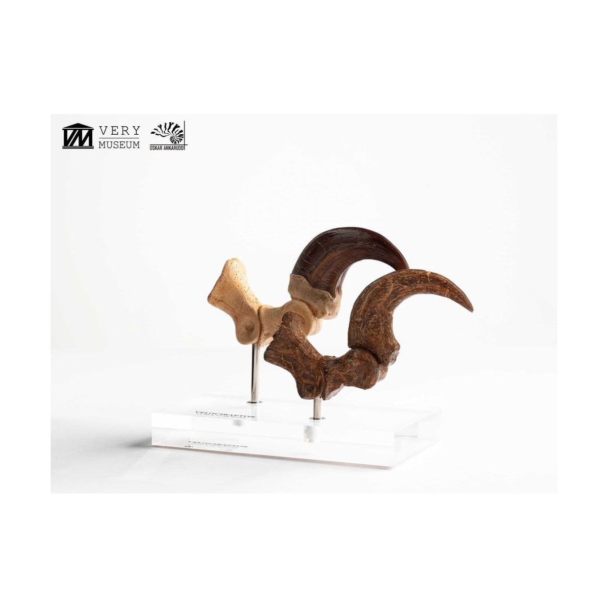 Toynami ECC Elite Creature Collectibles - Velociraptor Fußkralle und Fossilkralle Set - - Jurassic Park