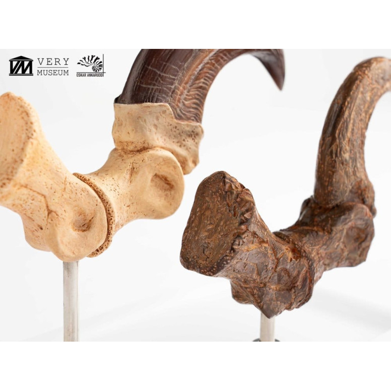 Toynami ECC Elite Creature Collectibles - Velociraptor Fußkralle und Fossilkralle Set - - Jurassic Park