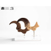Toynami ECC Elite Creature Collectibles - Velociraptor Fußkralle und Fossilkralle Set - - Jurassic Park