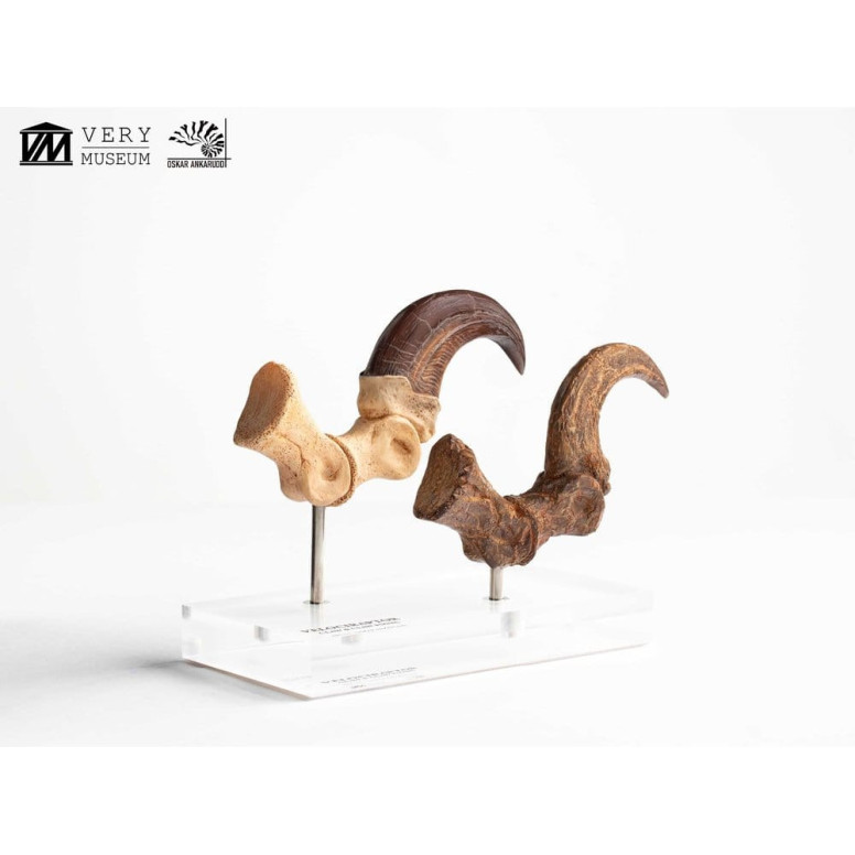 Toynami ECC Elite Creature Collectibles - Velociraptor Fußkralle und Fossilkralle Set - - Jurassic Park