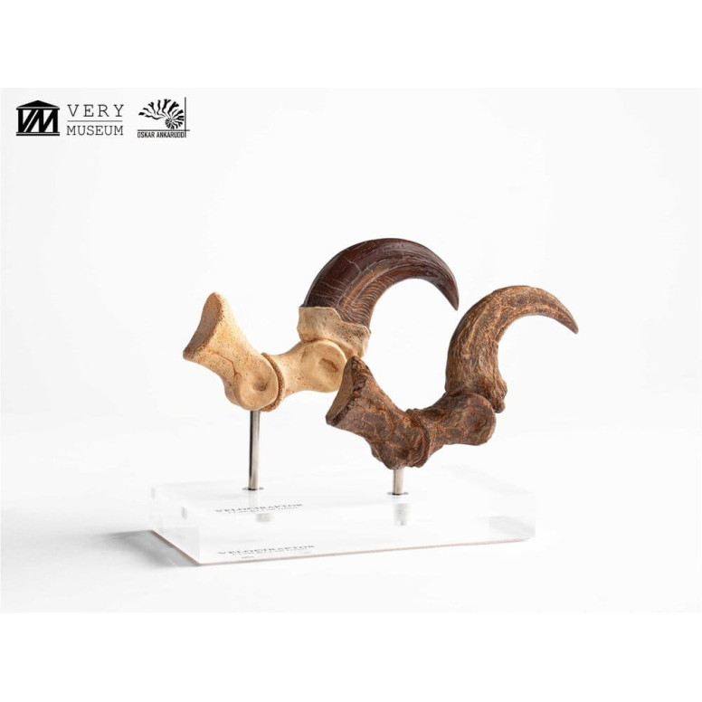 Toynami ECC Elite Creature Collectibles - Velociraptor Fußkralle und Fossilkralle Set - - Jurassic Park