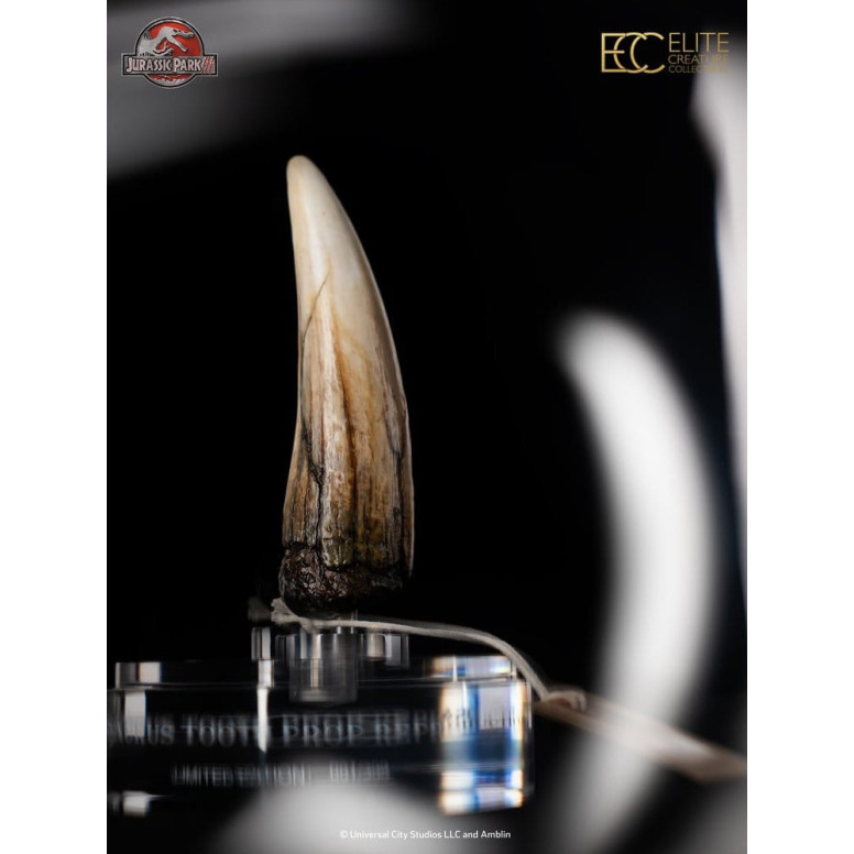 ECC Elite Creature Collectibles - Jurassic Park 3 Replik 1/1 Spinosauruszahn