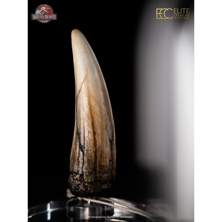 ECC Elite Creature Collectibles - Jurassic Park 3 Replik 1/1 Spinosauruszahn