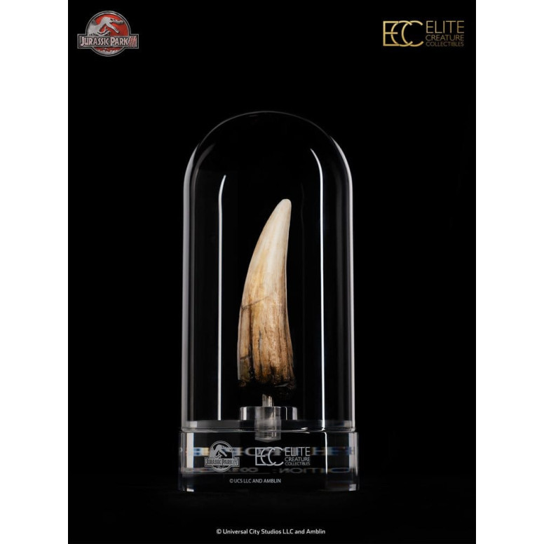 ECC Elite Creature Collectibles - Jurassic Park 3 Replik 1/1 Spinosauruszahn