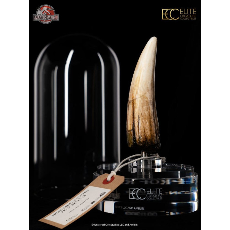 ECC Elite Creature Collectibles - Jurassic Park 3 Replik 1/1 Spinosauruszahn