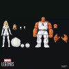Marvel Legends Series - Fantastic Four Future Foundation - The Thing & Invisible Woman