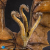 HIYA TOYS - Exquisite Basic Series 1/12 – King Ghidorah 2.0 – „ Godzilla: King of the Monsters“ (2019)