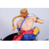 PCS - Street Fighter: Street Jam – Ken & Vega im Maßstab 1:10, Statuen-Set