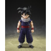 Bandai Tamashii - Son Gohan (Z-Kämpfer) (Limitierte Auflage „Z-Kämpfer-Gruppe“, Basisversion A) - S.H.Figuarts