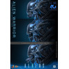 Hot Toys – Aliens  –  Alien Warrior v2 MMS, Maßstab 1:6