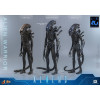 Hot Toys – Aliens  –  Alien Warrior v2 MMS, Maßstab 1:6