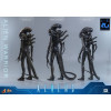 Hot Toys – Aliens  –  Alien Warrior v2 MMS, Maßstab 1:6