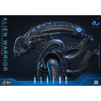 Hot Toys – Aliens  –  Alien Warrior v2 MMS, Maßstab 1:6