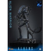 Hot Toys – Aliens  –  Alien Warrior v2 MMS, Maßstab 1:6