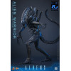 Hot Toys – Aliens  –  Alien Warrior v2 MMS, Maßstab 1:6
