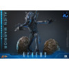 Hot Toys – Aliens  –  Alien Warrior v2 Deluxe MMS, Maßstab 1:6