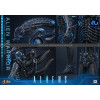 Hot Toys – Aliens  –  Alien Warrior v2 Deluxe MMS, Maßstab 1:6