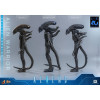 Hot Toys – Aliens  –  Alien Warrior v2 Deluxe MMS, Maßstab 1:6