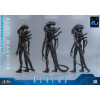 Hot Toys – Aliens  –  Alien Warrior v2 Deluxe MMS, Maßstab 1:6
