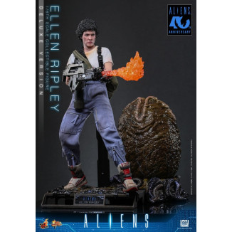 Hot Toys – Aliens – Ellen Ripley Deluxe version MMS , Maßstab 1:6