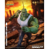 McFarlane - Savage Dragon (Image Comics Founders Series) – Elite Edition
