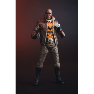 Mc Farlane - DC Multiverse – Bronze Tiger (New 52) 1/12