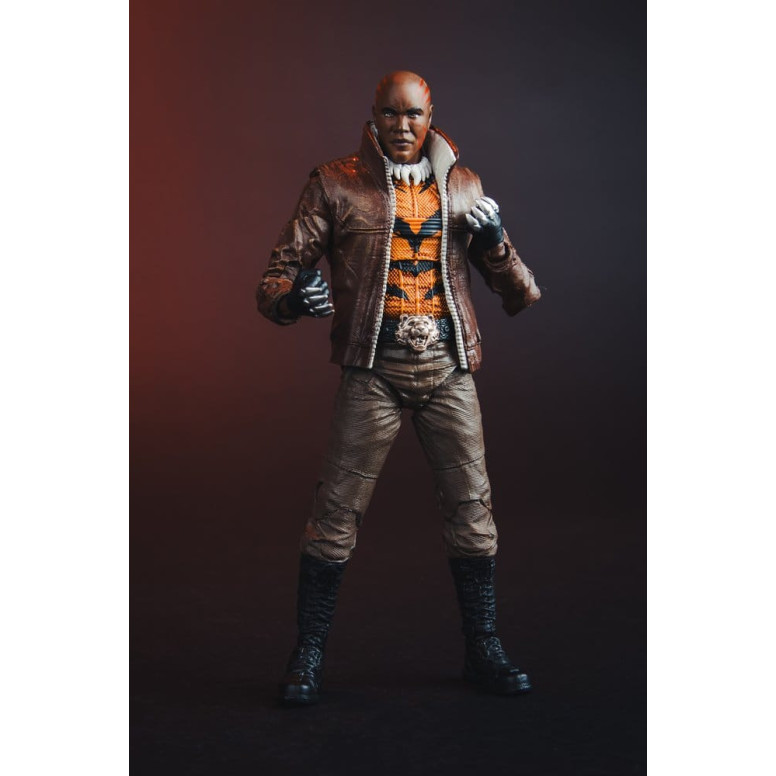 Mc Farlane - DC Multiverse – Bronze Tiger (New 52) 1/12