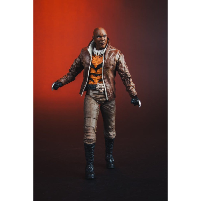 Mc Farlane - DC Multiverse – Bronze Tiger (New 52) 1/12