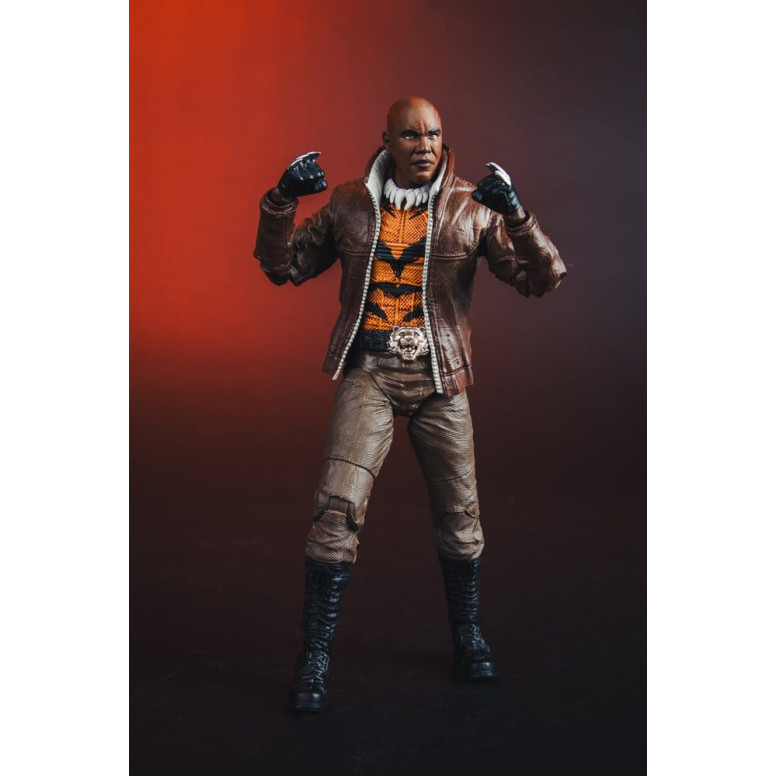 Mc Farlane - DC Multiverse – Bronze Tiger (New 52) 1/12