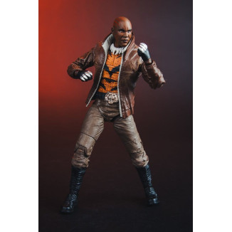 Mc Farlane - DC Multiverse – Bronze Tiger (New 52) 1/12