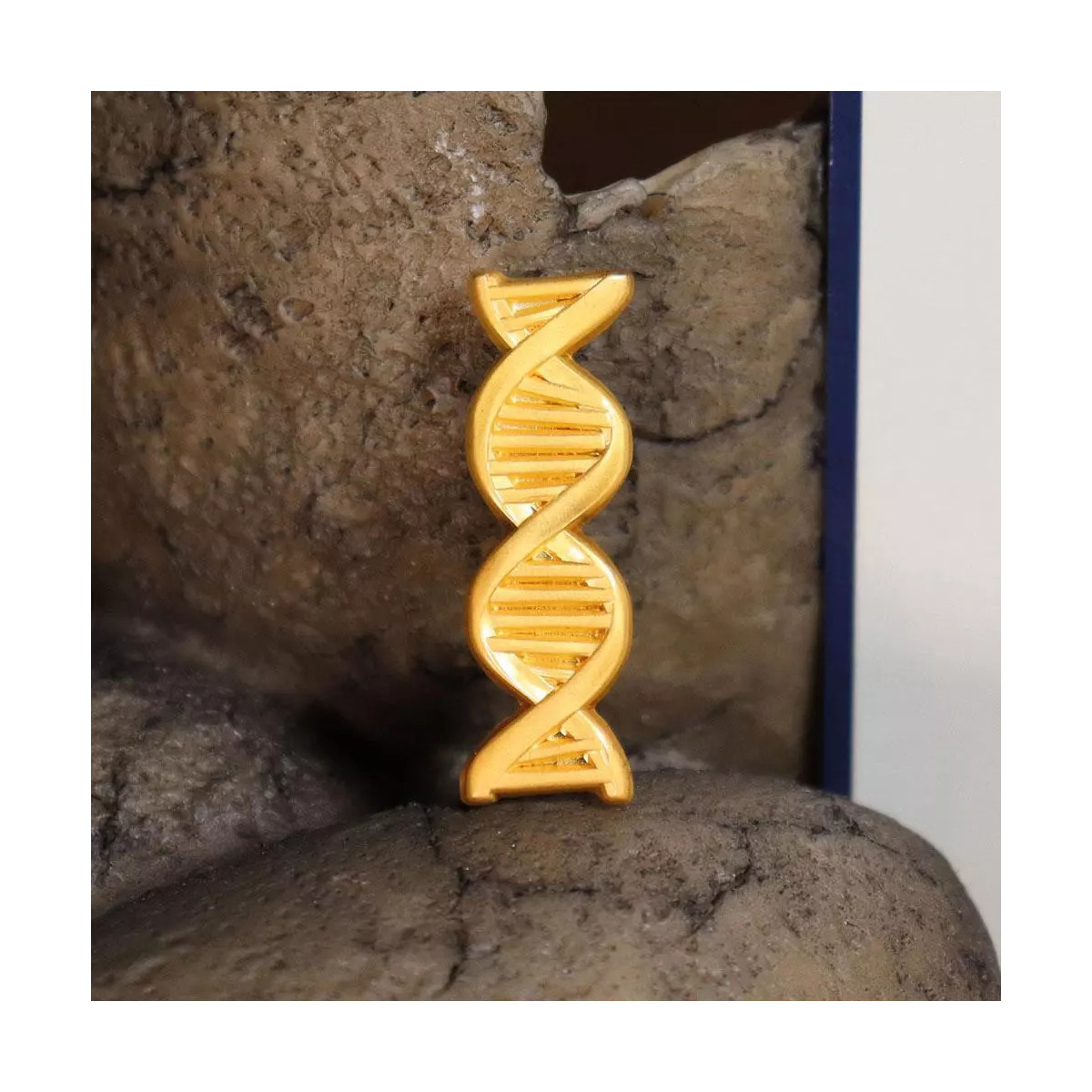 FaNaTtiK – Auszeichnung des „ Jurassic Park Genetics Laboratory Service“