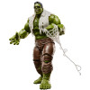 Hasbro Marvel Legends Serie – „ “ – „Spider-Man: Brand New Day“ Hulk