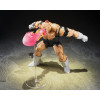 Bandai Tamashii - Z - - Recoome | Figur Dragon Ball SHF SHFiguarts