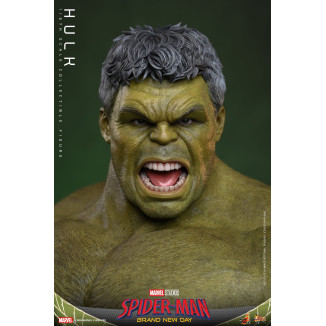 Hot Toys – „ Hulk “ im Maßstab 1:6, MMS905 – Marvel's Spider-Man: Brand New Day