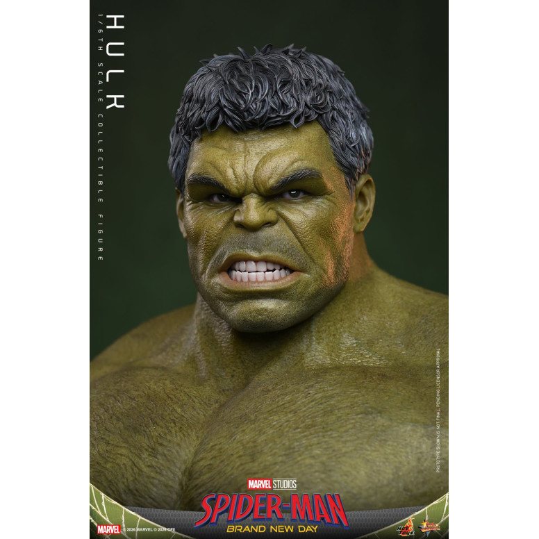 Hot Toys – „ Hulk “ im Maßstab 1:6, MMS905 – Marvel's Spider-Man: Brand New Day