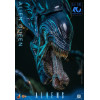 Hot Toys – Aliens 40th Anniversary – ALIEN QUEEN  1:6