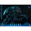 Hot Toys – Aliens 40th Anniversary – ALIEN QUEEN  1:6