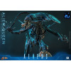 Hot Toys – Aliens 40th Anniversary – ALIEN QUEEN  1:6