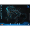 Hot Toys – Aliens 40th Anniversary – ALIEN QUEEN  1:6