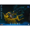 Hot Toys – Aliens 40th Anniversary – ALIEN QUEEN  1:6