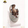 Toynami ECC Elite Creature Collectibles – Velociraptor-Brutei 1/1 – Jurassic Park