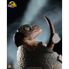 Toynami ECC Elite Creature Collectibles – Velociraptor-Brutei 1/1 – Jurassic Park
