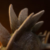 Iron Studios – Stegosaurus – „ Jurassic Park: The Lost World Icons“