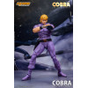 Storm Collectibles - „ Cobra “ Sonderausgabe – THE SPACE PIRATE – Weltraumabenteuer Cobra