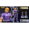 Storm Collectibles - „ Cobra “ Sonderausgabe – THE SPACE PIRATE – Weltraumabenteuer Cobra