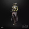 Hasbro Star Wars The Black Series – EMBO – The Mandalorian & Grogu